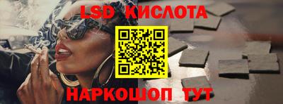 гидра Будённовск