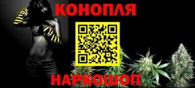 гидра Будённовск
