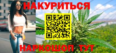 гидра Будённовск