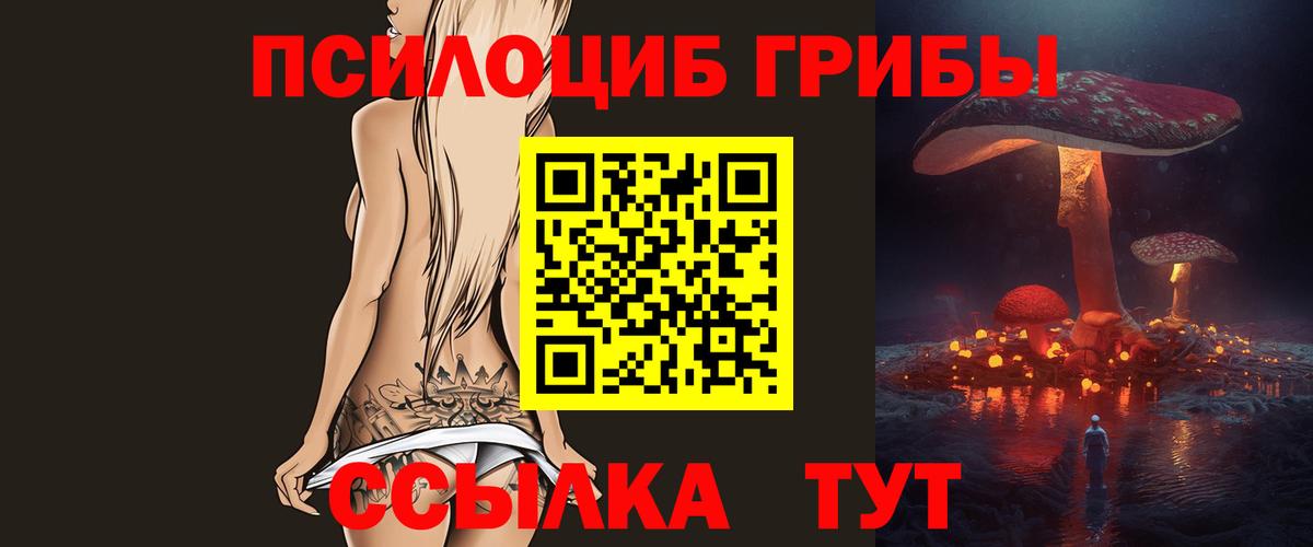 Галлюциногенные грибы Cubensis  Вход с VPN  сколько стоит  Тайшет 